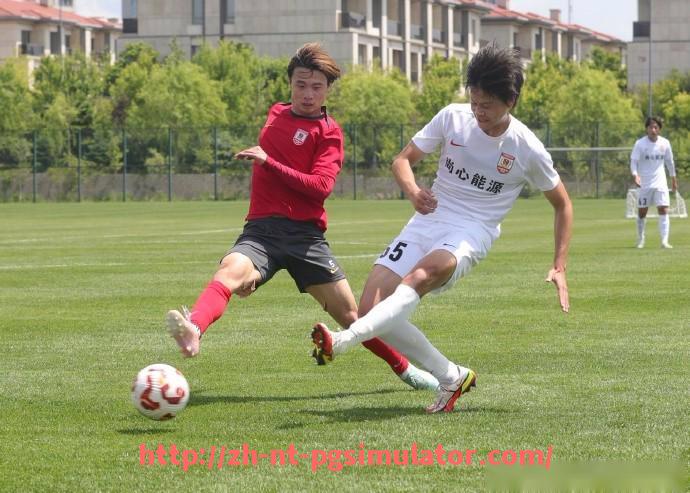 PG电子在线试玩入口-专业健身器材分类及功能介绍详解